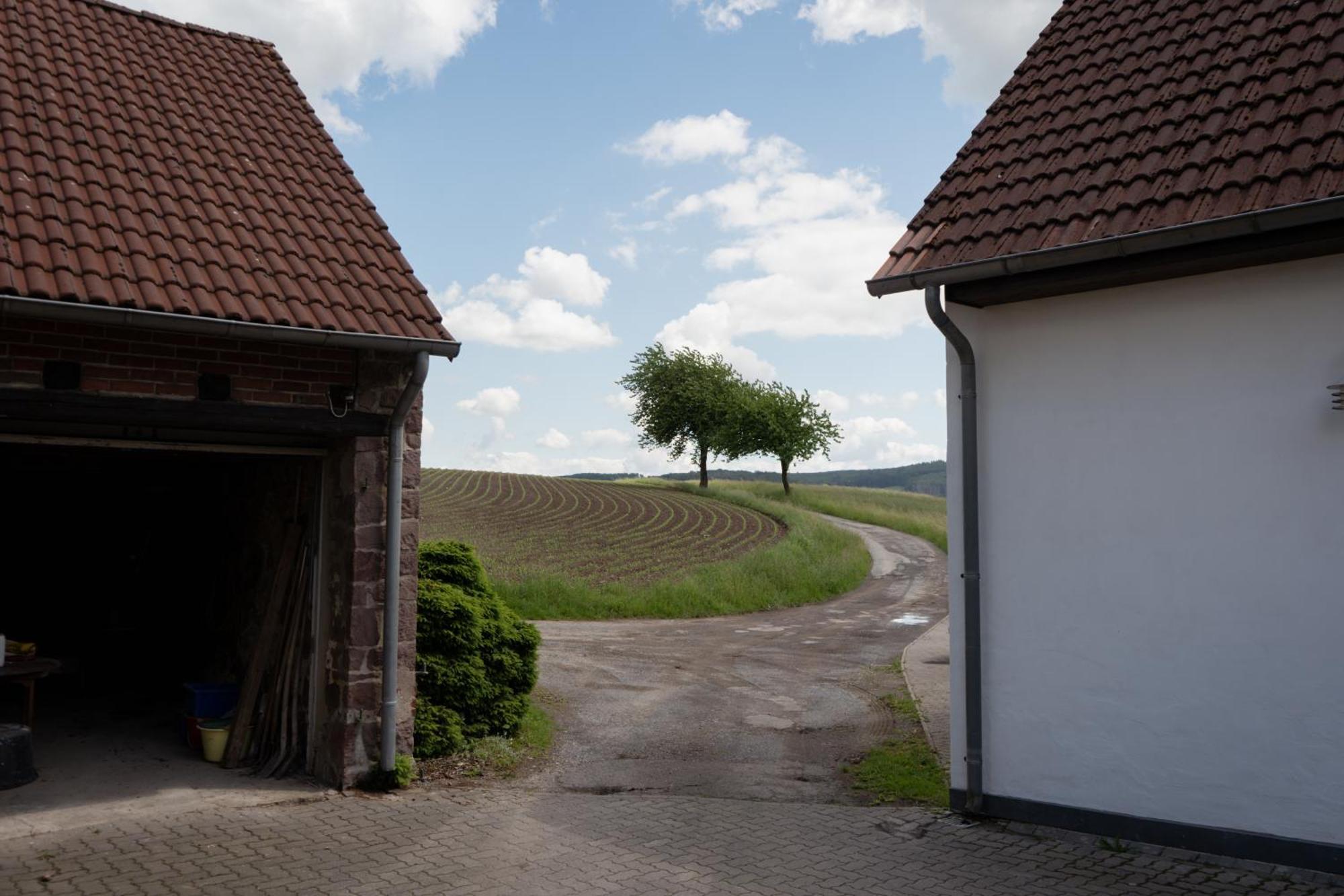 Idyllische Ferienwohnung Im Kalletal Dış mekan fotoğraf