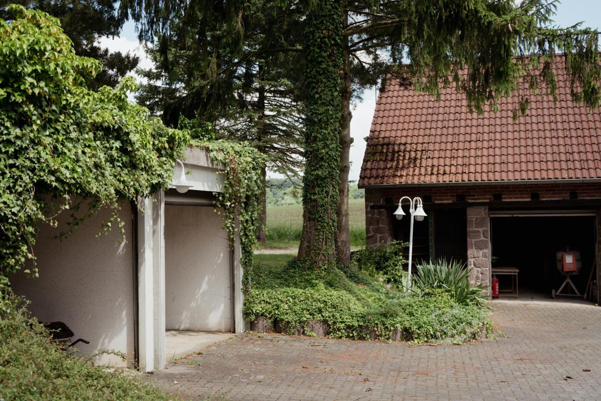 Idyllische Ferienwohnung Im Kalletal Dış mekan fotoğraf