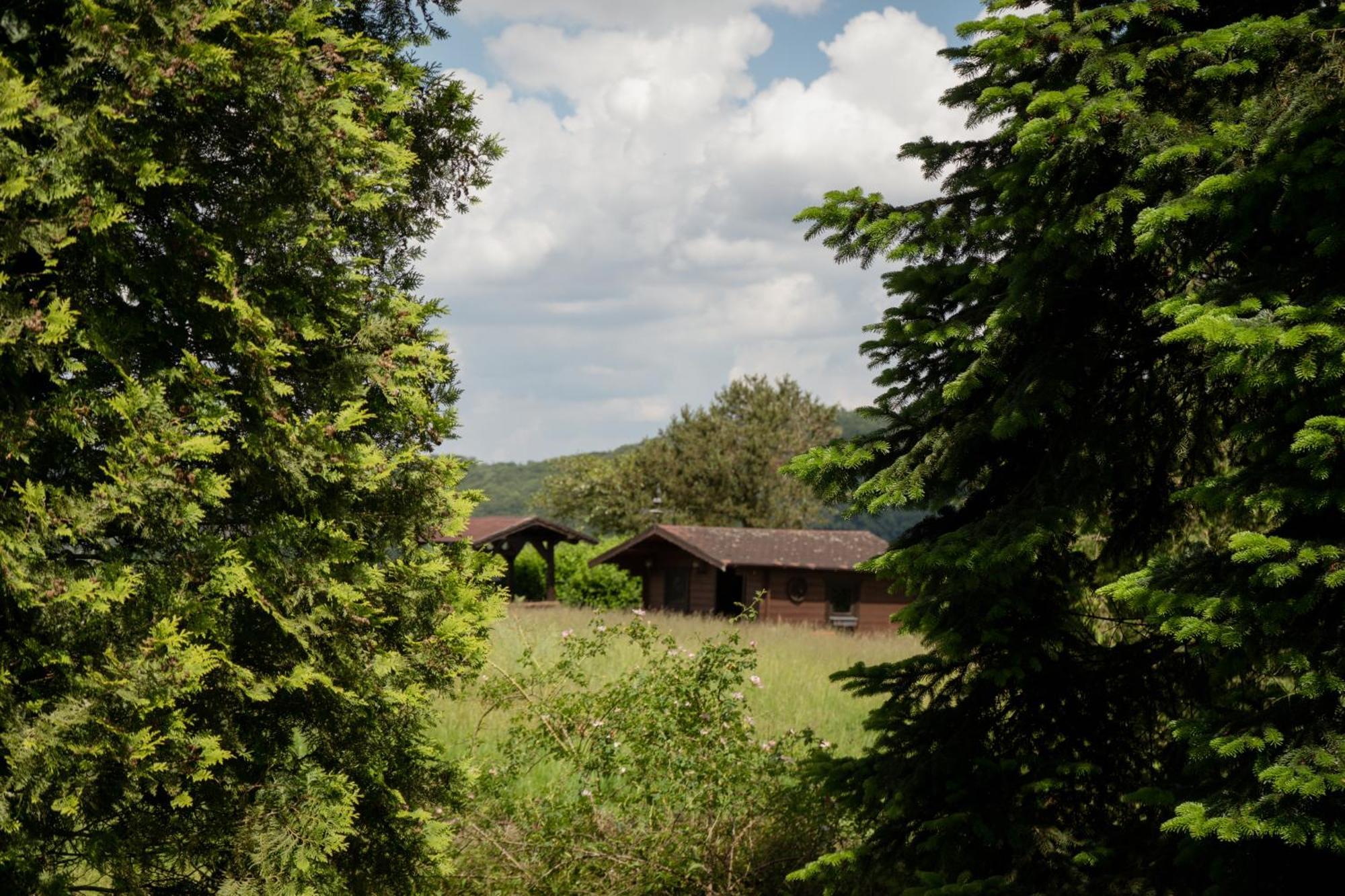 Idyllische Ferienwohnung Im Kalletal Dış mekan fotoğraf